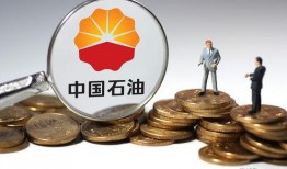 中国石油最新爆料,揭秘能源领域重大突破与挑战
