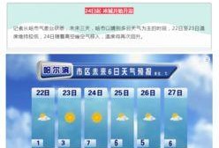 哈尔滨爆料最新消息今天,突发事件引发全城关注！