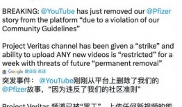 辉瑞最新爆料新闻报道,揭秘疫苗研发过程中的关键信息
