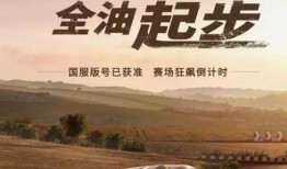 巅峰极速最新猜车爆料,揭秘神秘赛车，猜车热潮再掀高潮！
