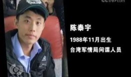 最新爆料的间谍有哪些,揭秘神秘间谍网络