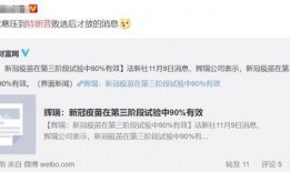 辉瑞最新爆料新闻报道,揭秘疫苗研发过程中的关键信息