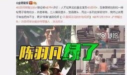 李成洙爆料视频大全最新,揭秘娱乐圈不为人知的一面