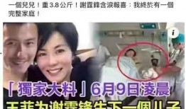 最新王菲爆料事件,揭秘娱乐圈不为人知的秘密